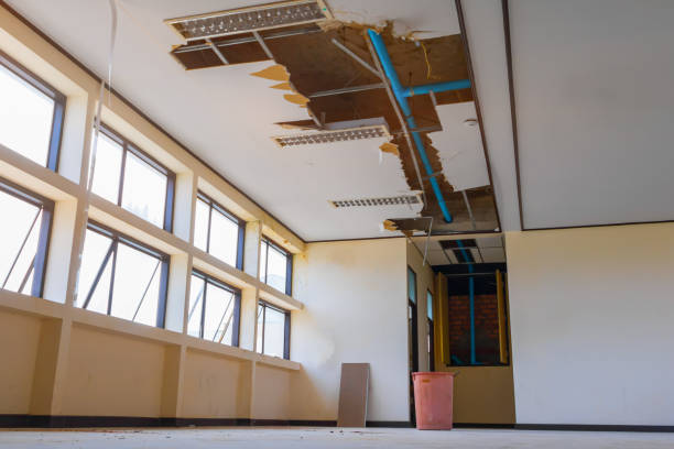 Best Water damage contractors near me  in Floydada, TX
