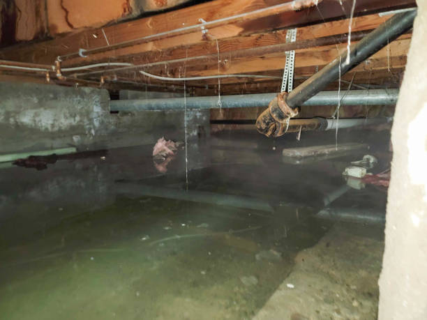 Best Emergency water extraction  in Floydada, TX