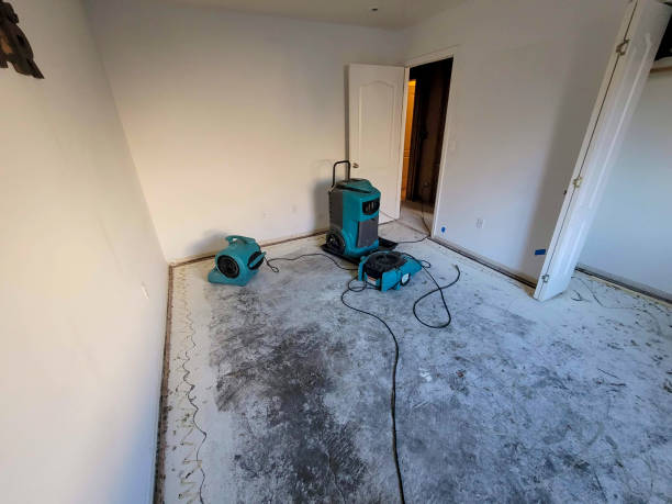 Best Flooded house restoration  in Floydada, TX