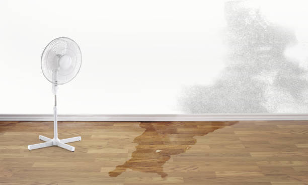 Floydada, TX Water damage restoration Pros