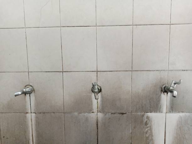 Best Water damage restoration near me  in Floydada, TX
