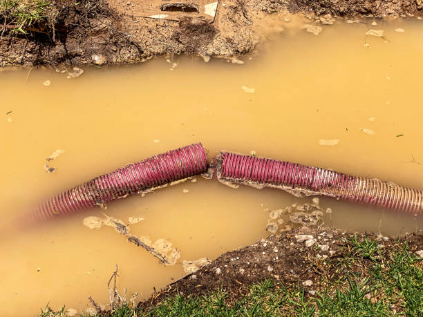 Best Water damage cleanup near me  in Floydada, TX