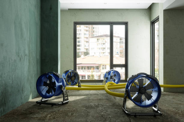 Best Water damage restoration near me  in Floydada, TX