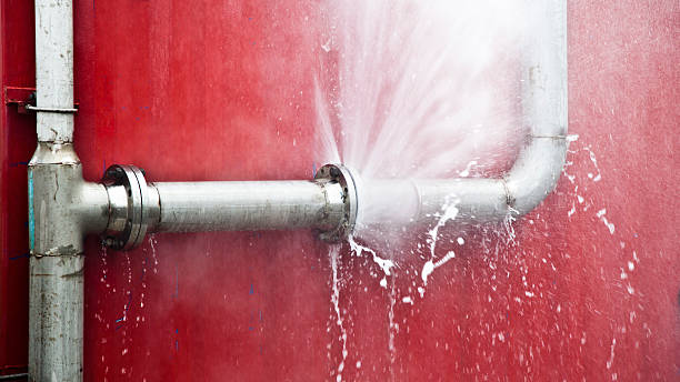 Best Flood damage cleanup  in Floydada, TX